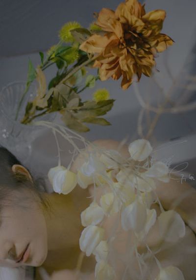 樱花动漫鬼父_超清在线观看高清